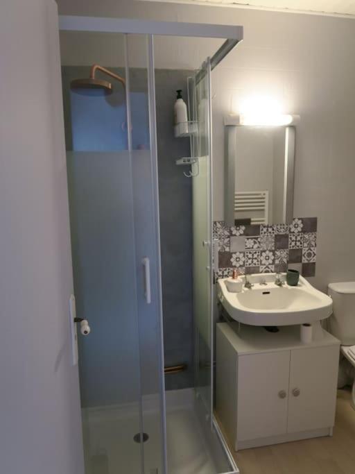 Appartement Des Hirondelles , Au Pied Du Chateau Chinon Exterior photo